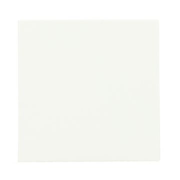 Gira wisselschakelaar bedieningswip - systeem 55 zuiver wit mat (329627)