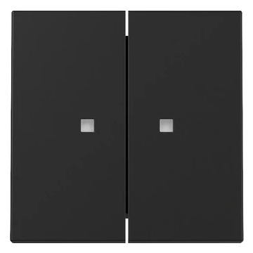 Gira 2-voudige wip met controlevenster voor wipcontroleschakelaar - systeem 55 zwart mat (3631005)