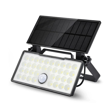 INTERLight Solar LED schijnwerper met sensor en batterij 10W IP65 - zwart (IL-SOLFLO)
