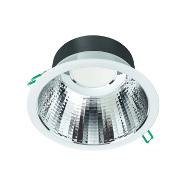 Philips downlighter 19.2W 2350lm 4000K zaagmaat Ø200-205mm Ø216mm IP20 - wit (8720169502918)