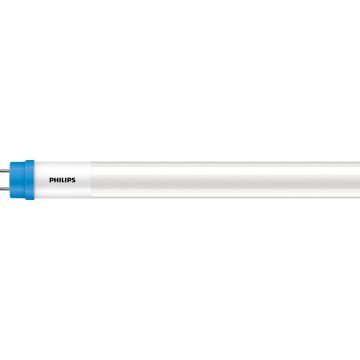 Philips LED buis TL T8 G13 8W 800lm daglicht 6500K 600mm - per 20 stuks (8719514459793)