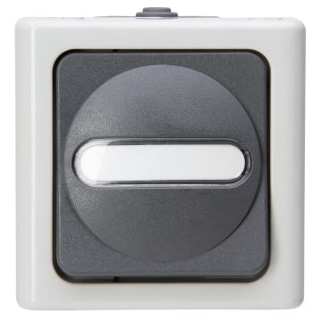 Kopp Blue Electric kruisschakelaar IP44 - grijs (560756009)