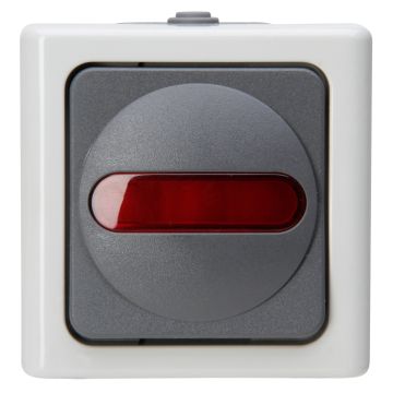 Kopp Blue Electric controleschakelaar IP44 - grijs (561656007)