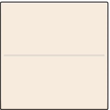 Niko centraalplaat voor draadloze schakelaar met 2 toetsen - Original Cream (100-00001)