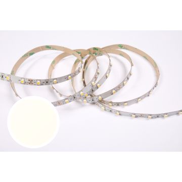 SLV Nederland LED strip flex 24V koel wit 4300K 60 leds/m IP20 - 5 meter (95160145)