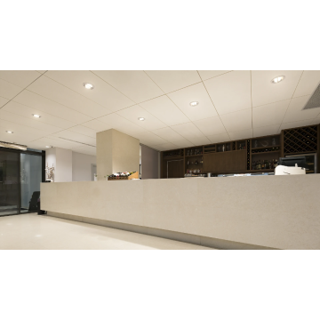 Philips CorePro LED PL-L HF 2G11 4P 16.5W 2000lm warm wit 3000K lengte 411.6mm (8718696739662)