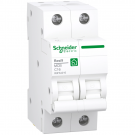 Schneider Electric automaat 2-polig 16A C-curve (R9F64216)