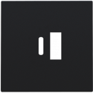 Niko centraalplaat voor USB A en C-lader - Intense Matt Black (161-68002)