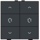 Niko dimbediening 2-voudig - Home Control antraciet (122-51046)