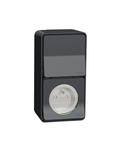 Schneider Electric opbouw combinatie wisselschakelaar en stopcontact met penaarde IP55 verticaal - Mureva antraciet mat (MUR36025)