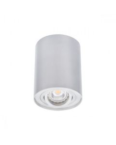 Kanlux LED opbouwspot rond geborsteld aluminium 25W GU10 (22550)