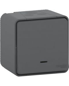 Schneider Electric wisselschakelaar met controlelamp opbouw IP55 - Mureva Styl mat grijs (MUR35024)