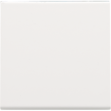 Niko centraalplaat voor elektronische schakelaar, drukknopdimmer of drukknopschakelaar - Pure Steel White (154-31002)