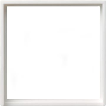 Gira adapterraam vierkant 50x50mm systeem 55 zuiver wit glanzend (28203)