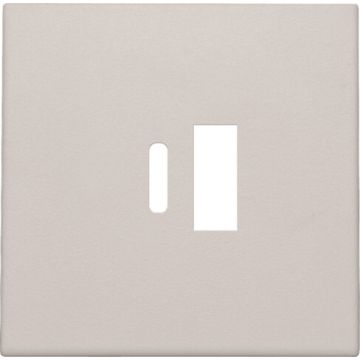 Niko centraalplaat voor USB A en C-lader - Original Light Grey (102-68002)