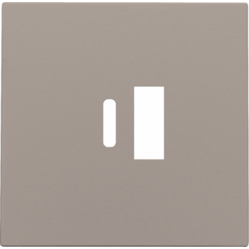 Niko centraalplaat voor USB A en C-lader - Intense Bronze (123-68002)