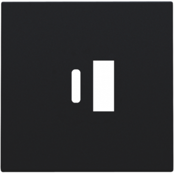 Niko centraalplaat voor USB A en C-lader - Intense Matt Black (161-68002)