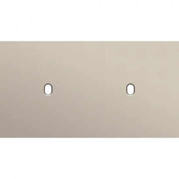 Niko Toggle afdekplaat tweevoudig horizontaal 71mm - Steel Champagne Coated (166-57801)
